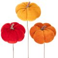 Calabaza decorativa en