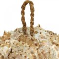 Floristik24 Bola decoración concha caracoles de mar Decoración marinera para colgar Ø18cm