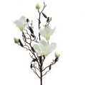 Floristik24 Magnolia rama crema artificial 90cm