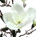 Floristik24 Magnolia rama crema artificial 90cm
