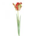Floristik24 Flor artificial, loro tulipán rojo amarillo, flor de primavera 69cm