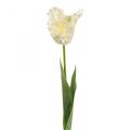 Floristik24 Flor artificial, loro tulipán blanco verde, flor de primavera 69cm