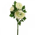 Floristik24 Flores artificiales Ranunculus flores artificiales de jardín blanco 34cm
