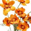 Floristik24 Flores artificiales Cosmea Cesta de joyería naranja H51cm 3pcs
