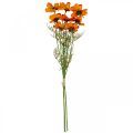 Floristik24 Flores artificiales Cosmea Cesta de joyería naranja H51cm 3pcs