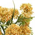 Floristik24 Flores artificiales allium amarillo decoración cebolla ornamental 34cm 3pcs en ramo