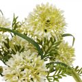 Floristik24 Flores artificiales allium blanco decoración cebollas ornamentales 34cm 3pcs en ramo