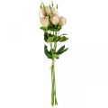 Floristik24 Flores artificiales lisianthus crema 51cm flor decoración 5pcs