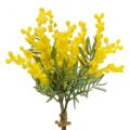 Floristik24 Planta artificial, acacia plateada, deco amarillo mimosa, 39cm 3ud