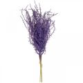 Floristik24 Plantas artificiales hierba seca púrpura flocada artificialmente 62cm 3pcs