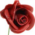 Rosas artificiales Rosas de cera de Burdeos rosas decorativas cera Ø6cm 18 piezas | Floristik24.es