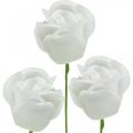 Floristik24 Rosas artificiales rosas de cera crema rosas decorativas cera Ø6cm 18 piezas