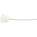 Rosas artificiales rosas de cera crema rosas decorativas cera Ø6cm 18 piezas | Floristik24.es