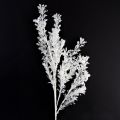 Floristik24 Rama artificial esmerilada decorativa para invierno, color blanco, 78 cm, 2 unidades