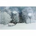 Floristik24 Cuadro LED Navidad paisaje invernal con banco del parque Mural LED 58x38cm