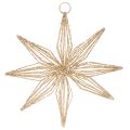 Floristik24 Estrella decorativa LED de alambre para colgar, 20 LED, luz blanca cálida, para interiores, 22 cm