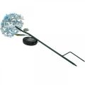 Floristik24 Crisantemo LED, decoración luminosa para el jardín, decoración de metal azul L55cm Ø15cm