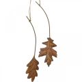 Floristik24 Hojas de metal para colgar hojas de otoño marrón óxido 7.5-10cm 4pcs