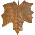 Floristik24 Hojas decorativas de otoño con aspecto de óxido de metal L20cm 4pcs