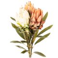 Floristik24 Flor artificial de Protea Leucadendron con tallo largo, 65 cm, 3 piezas