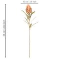 Flor artificial de Protea Leucadendron con tallo largo, 65 cm, 3 piezas | Floristik24.es