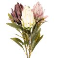 Floristik24 Protea artificial Leucadendron 100cm 3 piezas