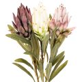 Protea artificial Leucadendron