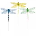 Floristik24 Decoración de verano, libélulas en alambre, insectos decorativos amarillo, verde, azul AN10,5cm 6uds