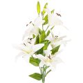 Floristik24 Lirios artificiales, 6 flores blancas, rama florida de aspecto realista, 66 cm.