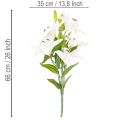 Lirios artificiales, 6 flores blancas, rama florida de aspecto realista, 66 cm. | Floristik24.es