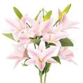 Lirio artificial, flor de