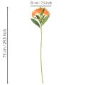Flor artificial de alstroemeria naranja, decoración de ramo artificial, 75 cm, 3 piezas | Floristik24.es