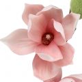 Floristik24 Magnolia artificial rosa claro 70cm