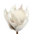 Floristik24 Flor de magnolia de espuma gris, blanco Ø10cm L26cm 4pcs