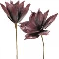 Floristik24 Flor artificial magnolia violeta flor de espuma Ø10cm 6pcs