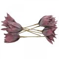 Floristik24 Flor artificial magnolia violeta flor de espuma Ø10cm 6pcs