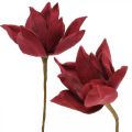 Floristik24 Magnolia artificial roja flor artificial decoración de flores de espuma Ø10cm 6pcs