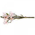 Floristik24 Ramas de magnolia artificial Flores artificiales rosadas H40cm 4 piezas en ramo