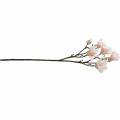 Floristik24 Rama de magnolia Flores de seda de magnolia artificial rosa