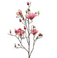 Floristik24 Rama de magnolia violeta 110cm 1p