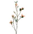 Floristik24 Rama de magnolia rosa claro L 82cm