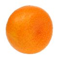 Floristik24 Mandarina Ø7cm naranja