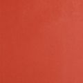 Floristik24 Papel para puños papel de seda floral rojo 37,5cm 100m