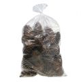 Conos Maritima 14/18 natural 25uds | Floristik24.es