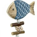 Floristik24 Tapones decorativos marítimos, peces y conchas en el palo, decoraciones marinas, peces de madera 6pcs