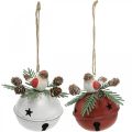 Floristik24 Campanas con petirrojos, adornos de pájaros, invierno, campanas decorativas para Navidad blanco / rojo Ø9cm H10cm juego de 2