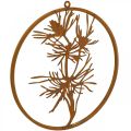 Floristik24 Anillo decorativo anillo de metal pátina decoración de pared rama de pino Ø38cm
