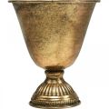 Floristik24 Cuenco de metal copa decoración metal dorado aspecto envejecido Al.16cm