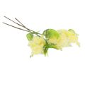 Floristik24 Planta artificial acacia plateada mimosa floración amarilla 53cm 3ud