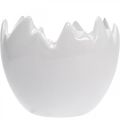 Floristik24 Mini macetero blanco cáscara de huevo Ø8cm H7cm 4pcs